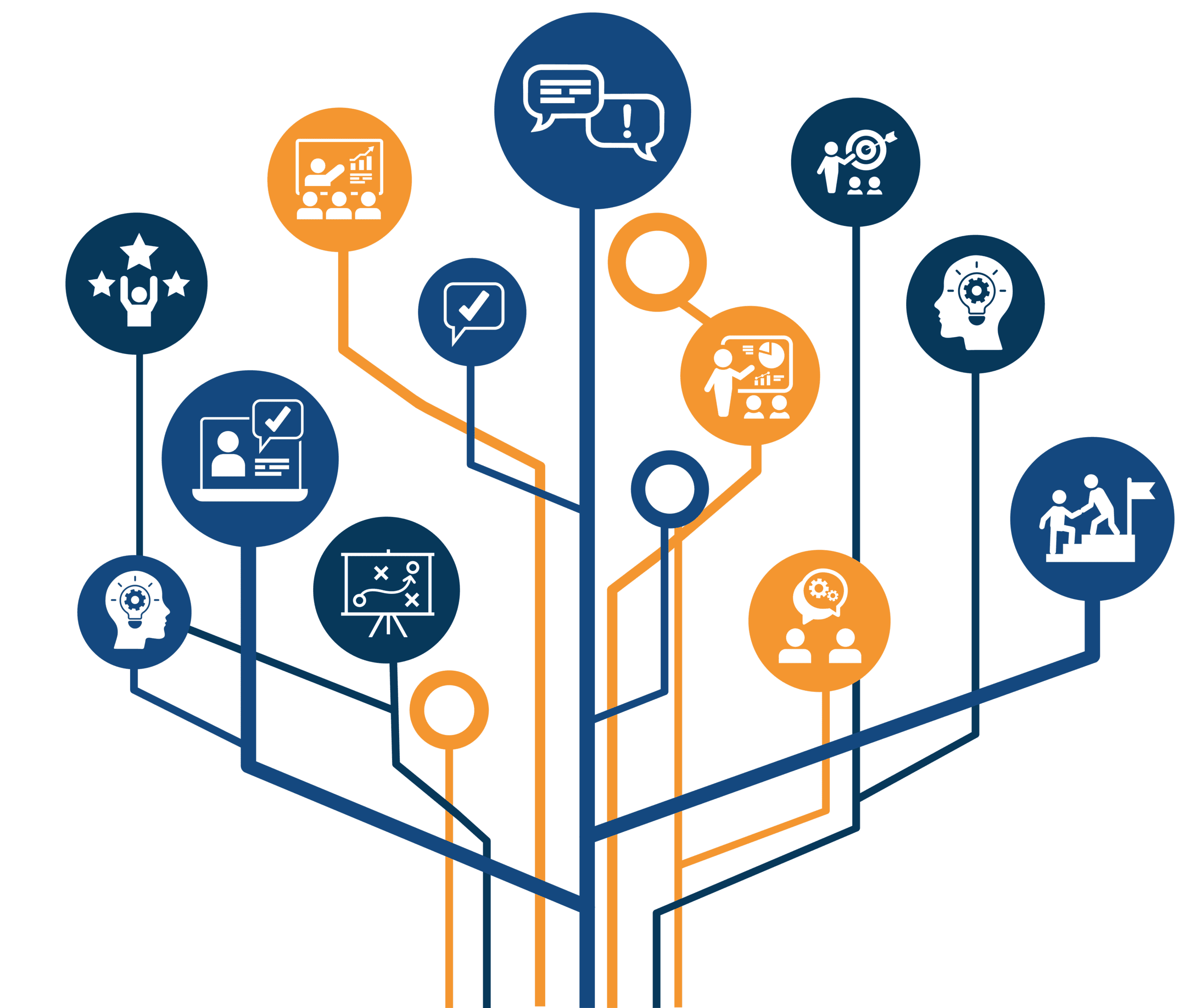Fractional CMO Consulting
