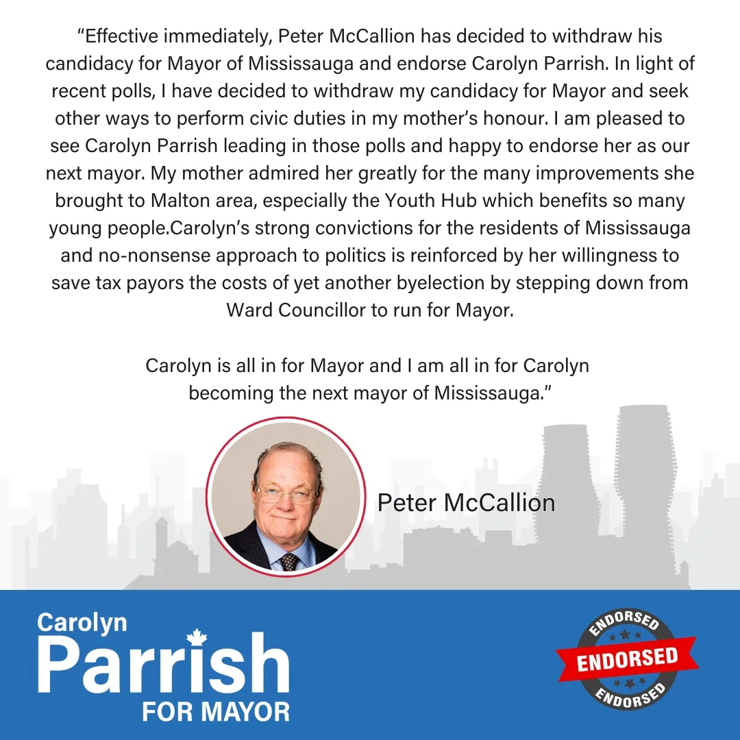 Political Campaigns
