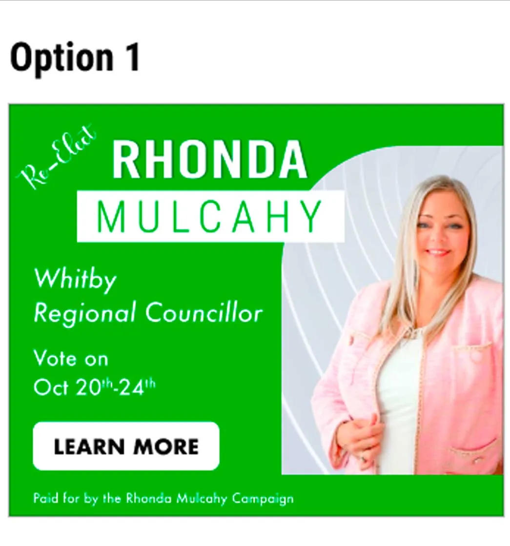 Political Campaigns