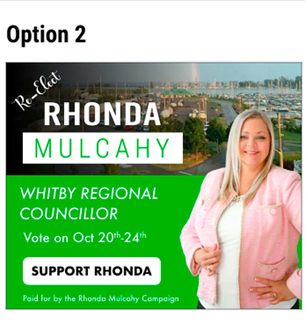 Political Campaigns
